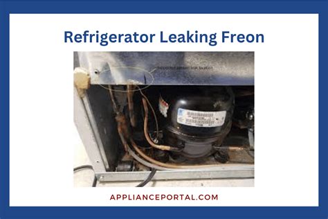 can freon leak from a refrigerator|Five Signs Your Refrigerator Is Leaking Freon: A。